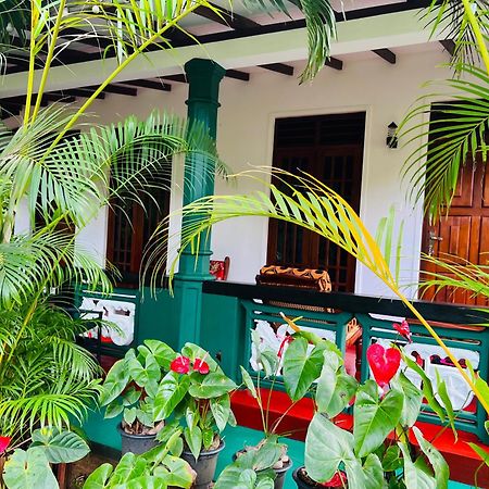 Sigiri Budget Homestay Sigiriya Exterior foto