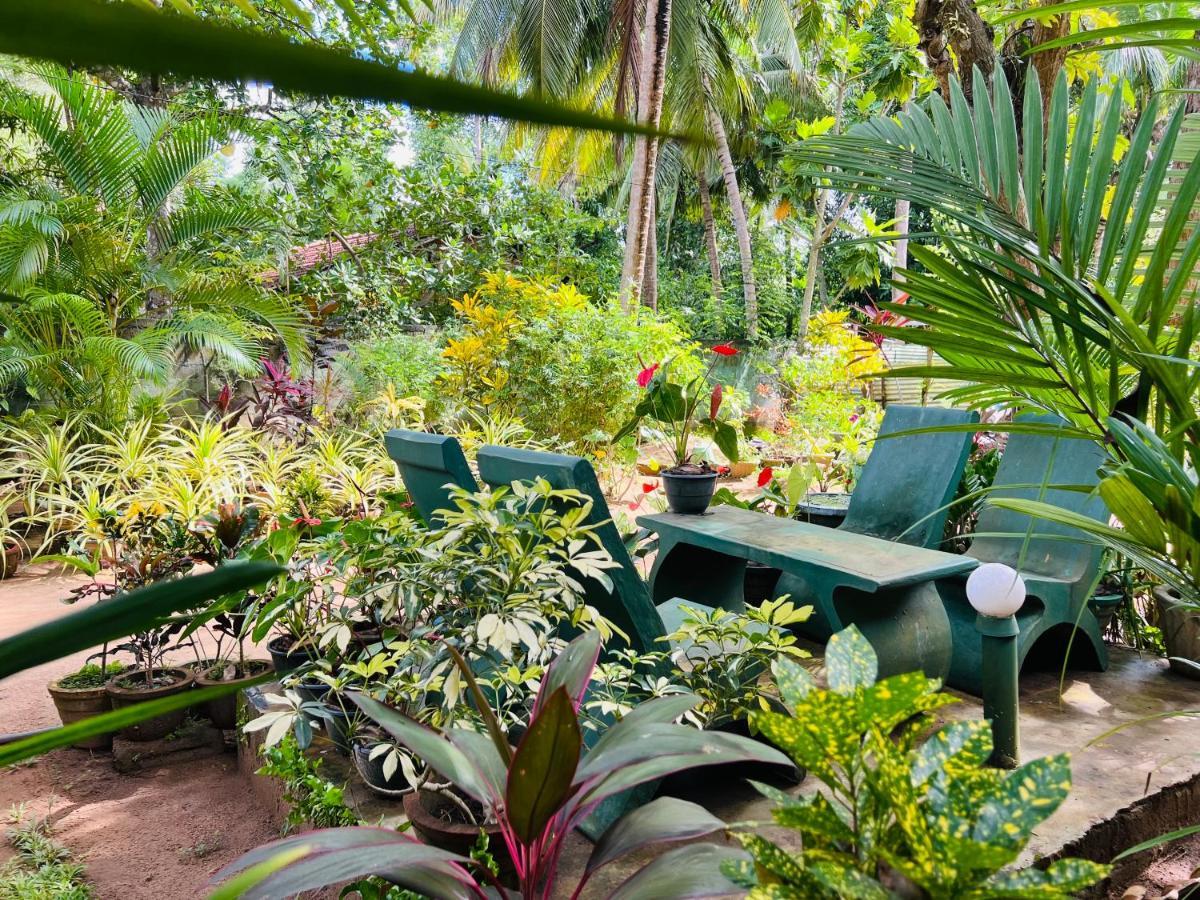 Sigiri Budget Homestay Sigiriya Exterior foto