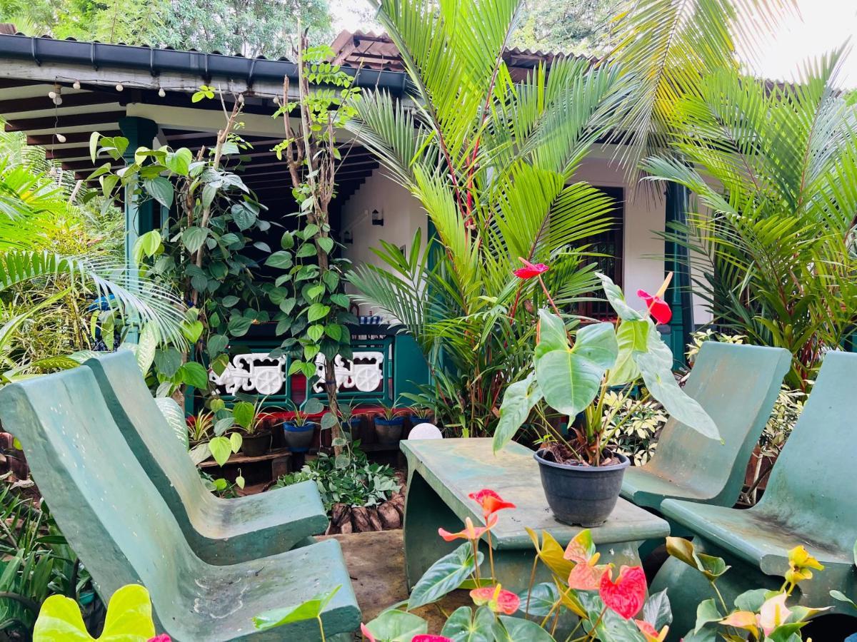 Sigiri Budget Homestay Sigiriya Exterior foto