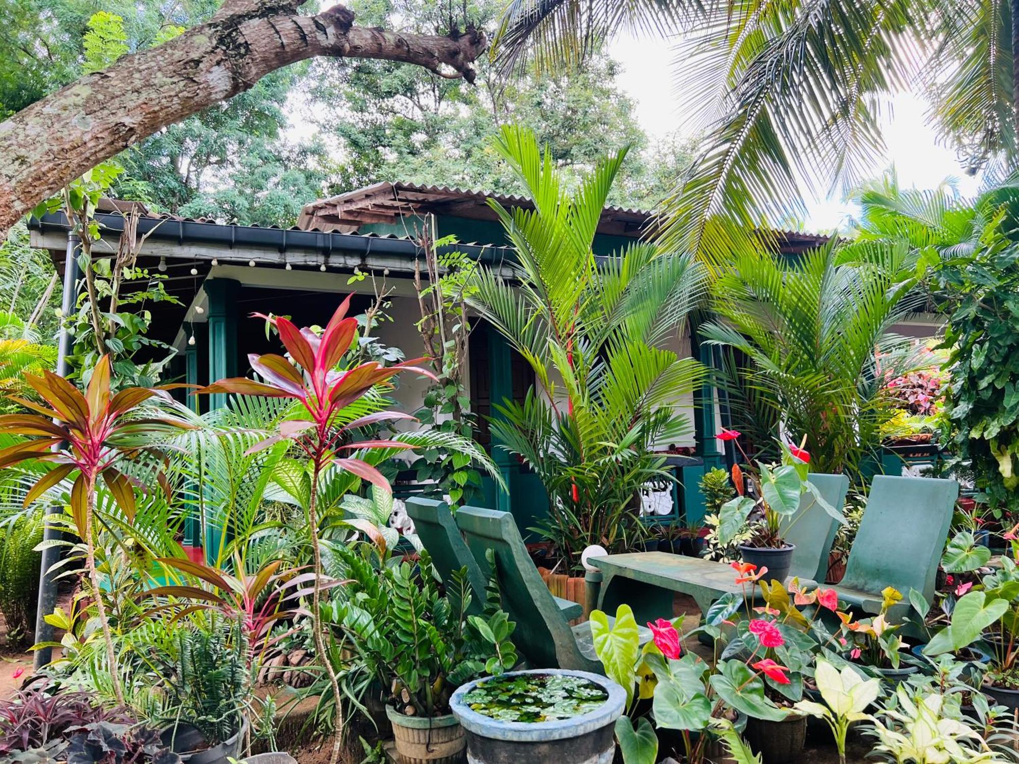 Sigiri Budget Homestay Sigiriya Exterior foto